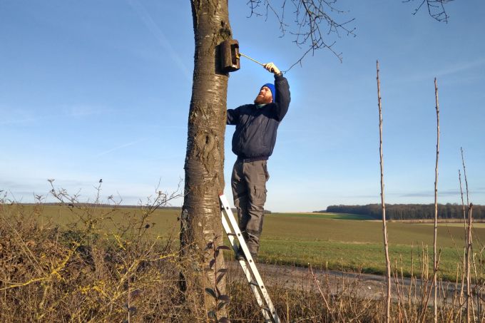 Nistkastenreinigung zwischen den Jahren