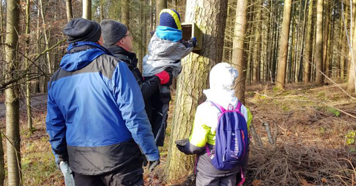 NAJU Großrinderfeld: Der Natur auf der Spur – Nistkastenreinigung