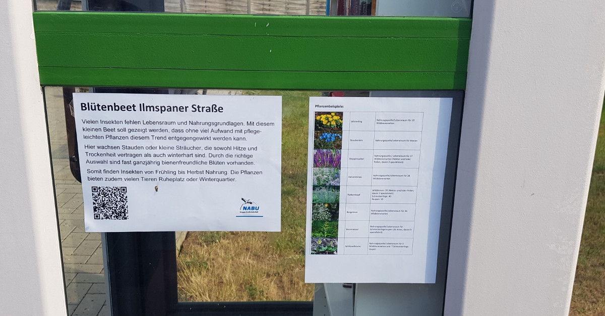 Informationen zum Staudenbeet