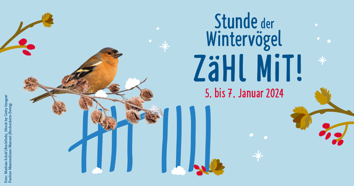 Stunde der Wintervögel vom 5. bis 7. Januar 2024