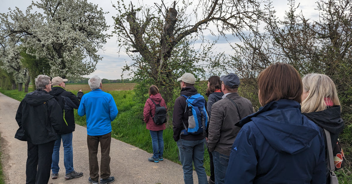 Naturkundliche Wanderung an Ostermontag