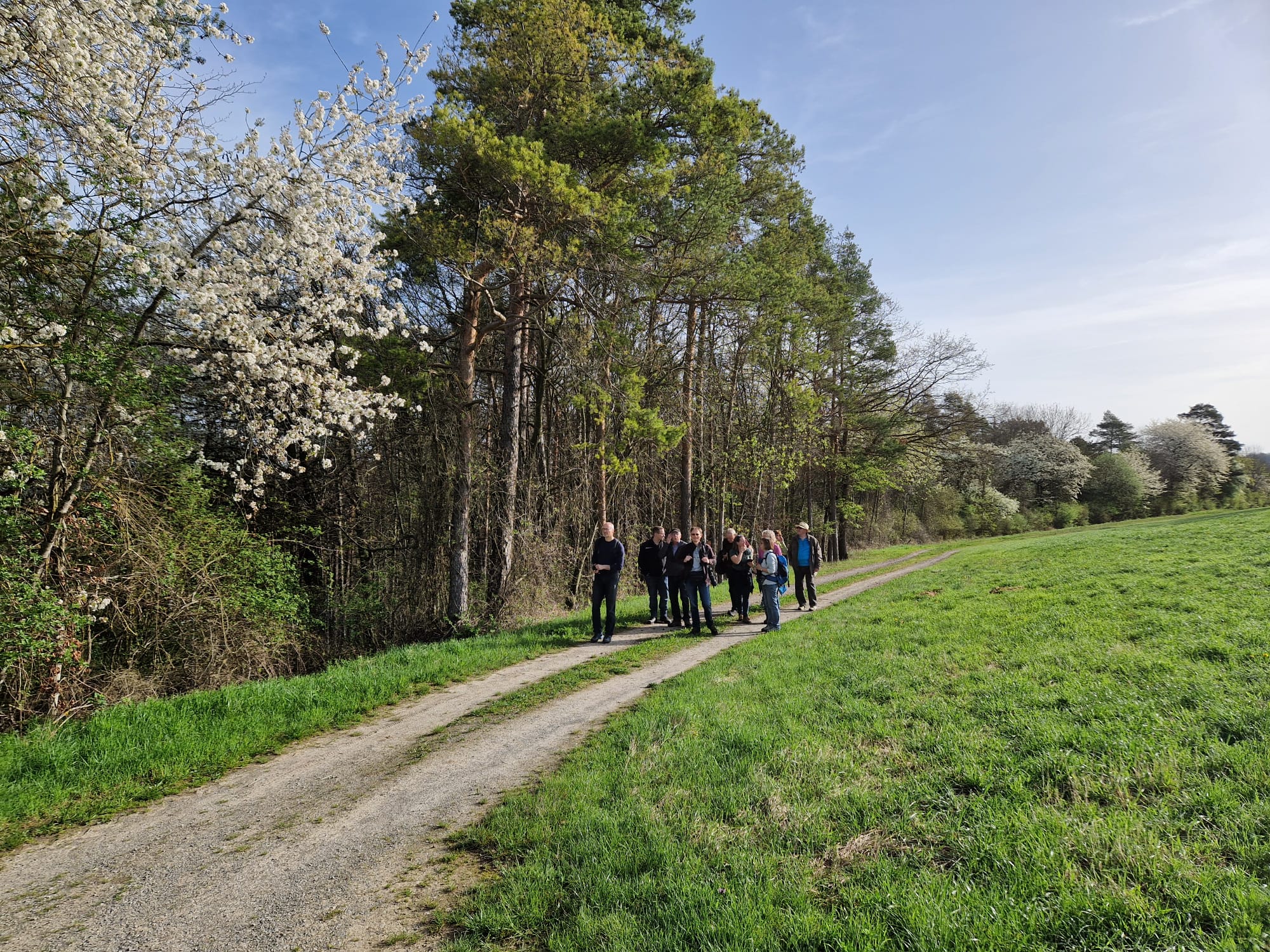 Rückblick auf unsere naturkundliche Wanderung