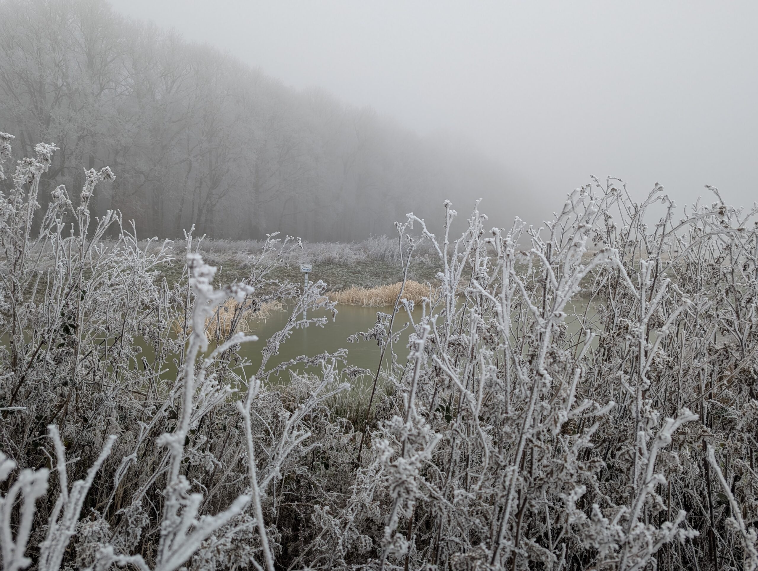 Himmelsteich im Winter